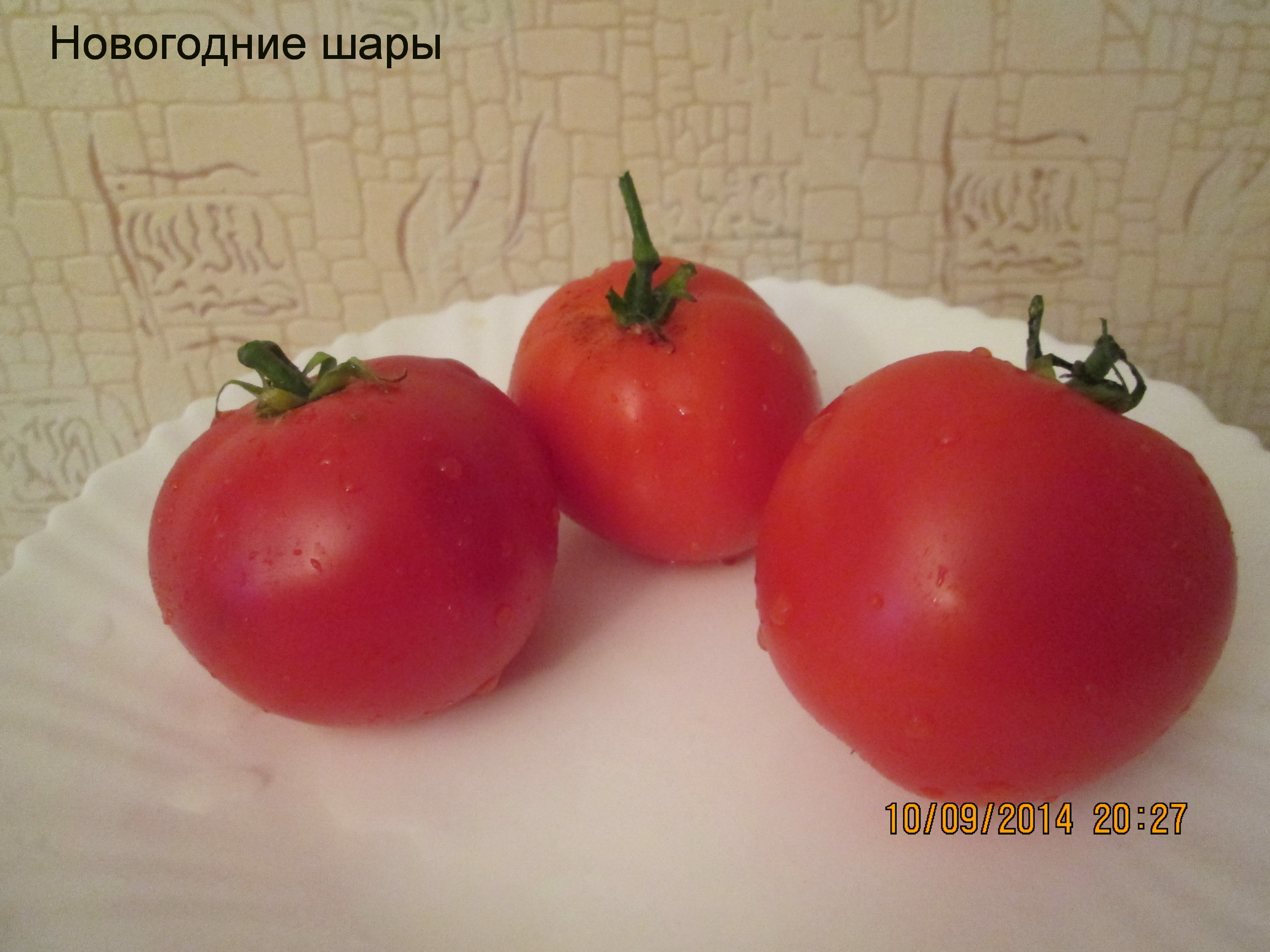 Томат Новогодние Шары Томат Новогодние Шары