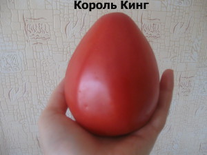 Томат Король Ранних Отзывы Фото